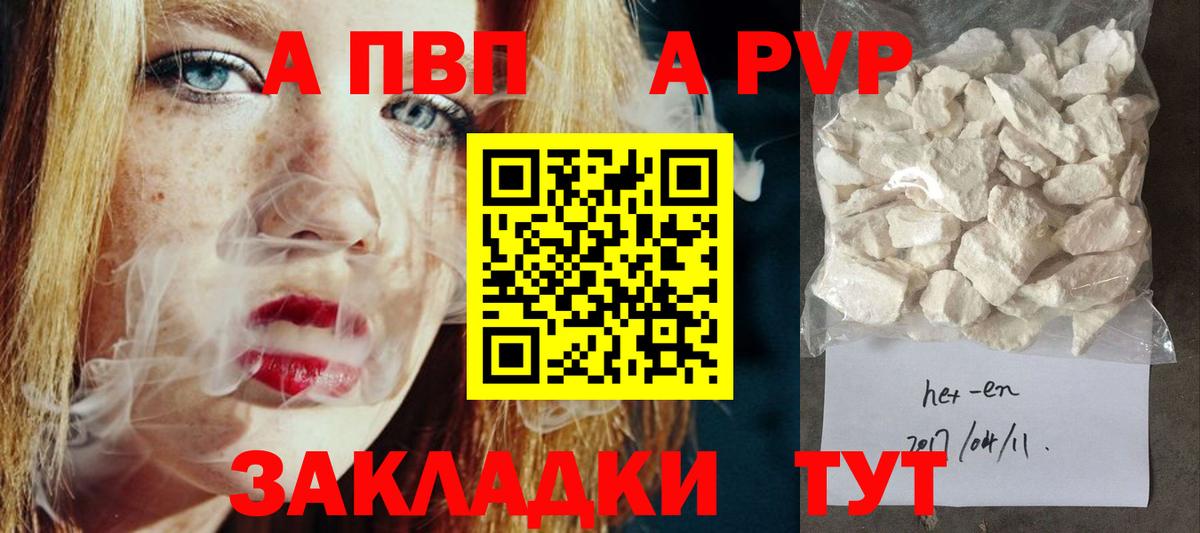 Альфа ПВП СК КРИС Гудермес