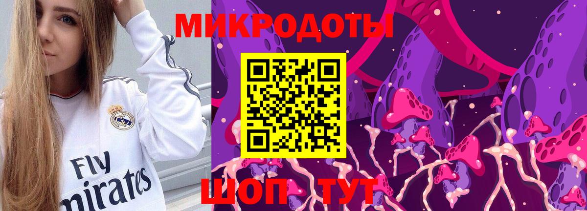 Гудермес  что такое   Вход с VPN  Псилоцибиновые грибы Psilocybine cubensis 